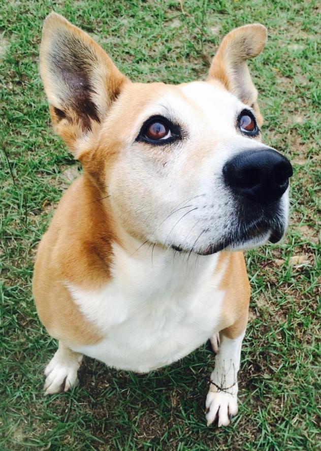 Sweet Bella