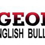 Georgia English Bulldog Rescue on legislative Dog Fight