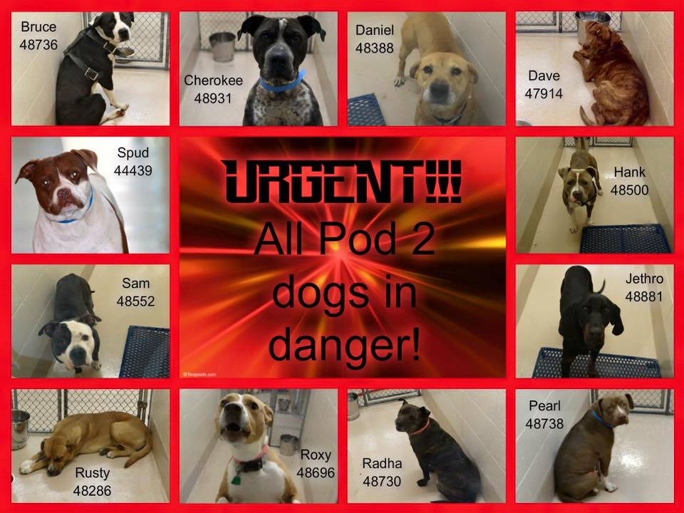 Gwinnett Urgent