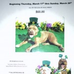 Adoptable Georgia Dogs for March 18, 2016