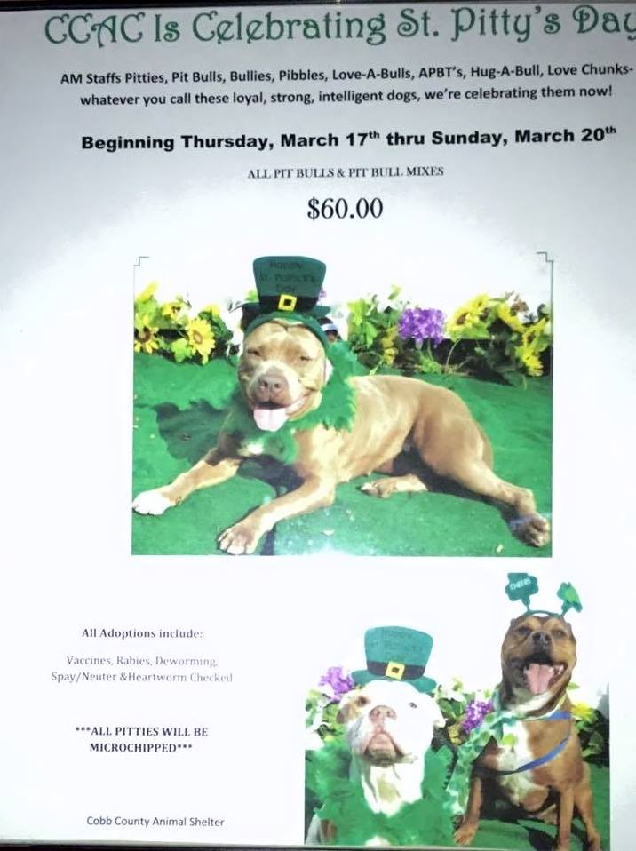 Cobb St Pitties Day