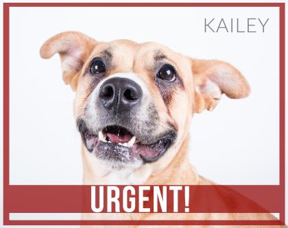 Kailey