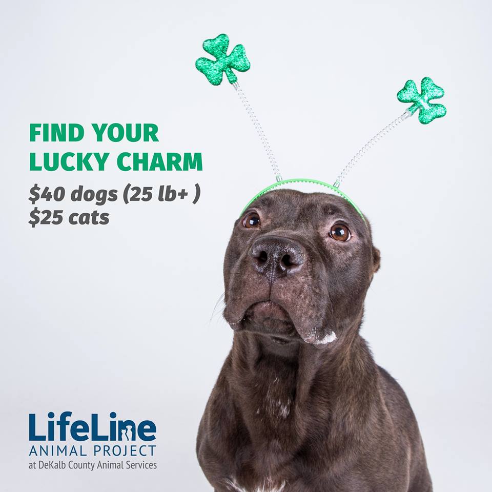 Lucky Charm
