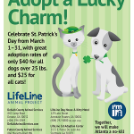 Adoptable Georgia Dogs for March 7, 2016