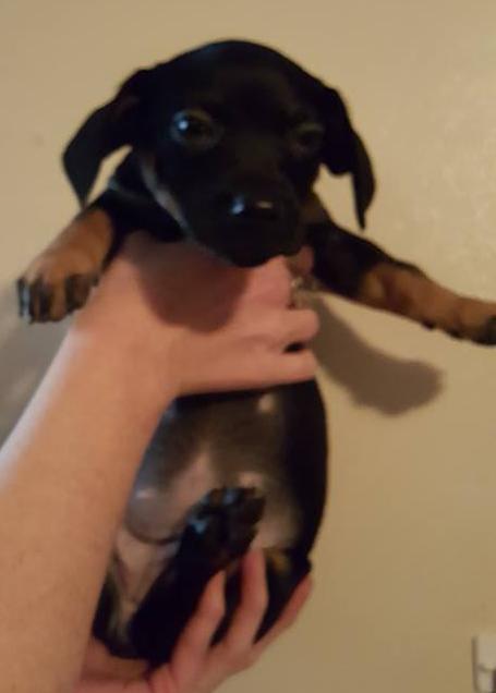 Winifred