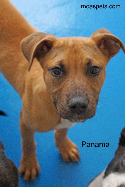 Panama