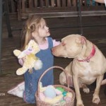 Adoptable Georgia Dogs for April 22, 2016