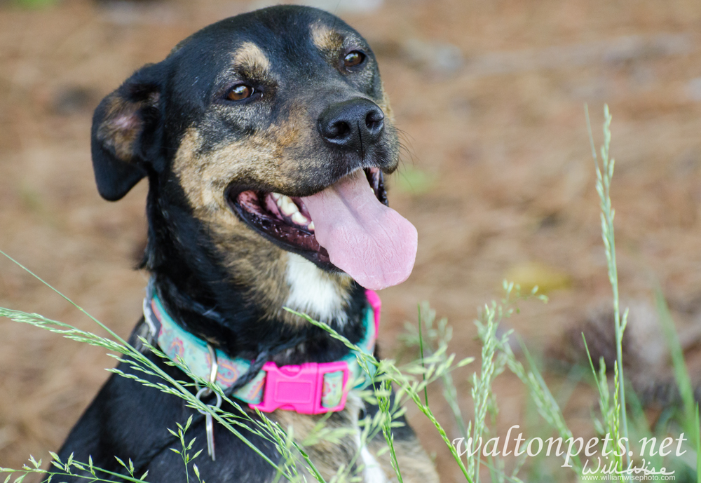 20160691Lila1web
