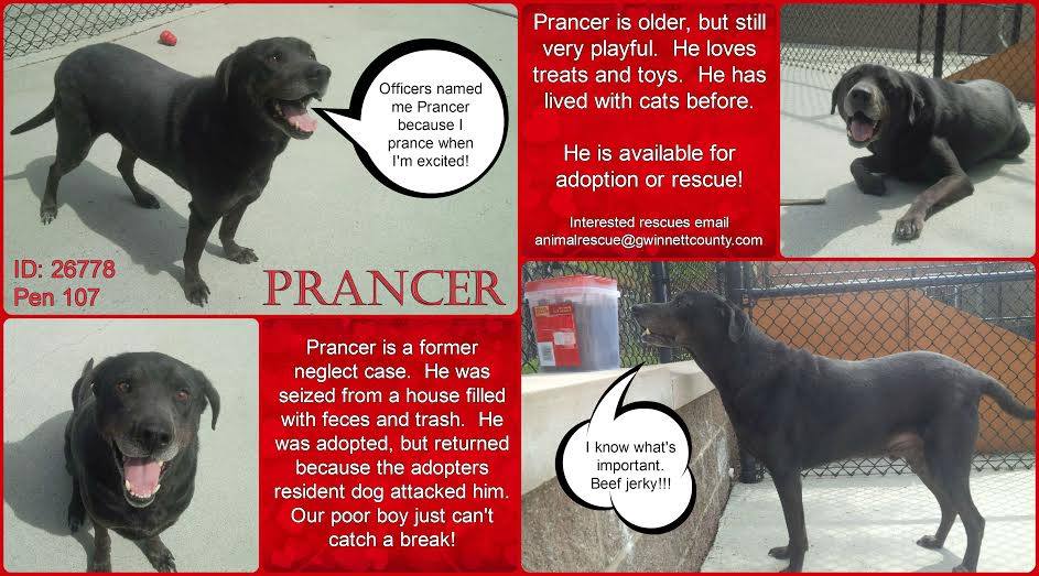 Prancer