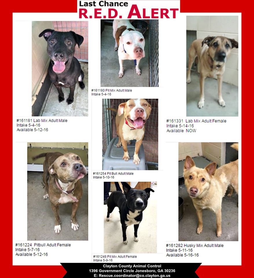 Clayton Urgent