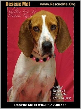 Daisy Coweta