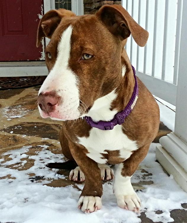 Maggie