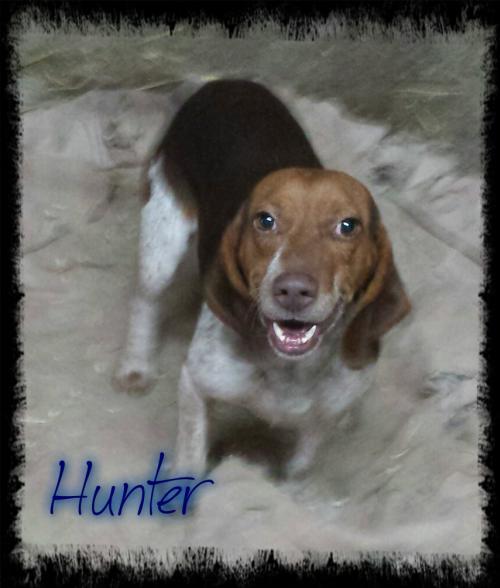 Hunter Murray County