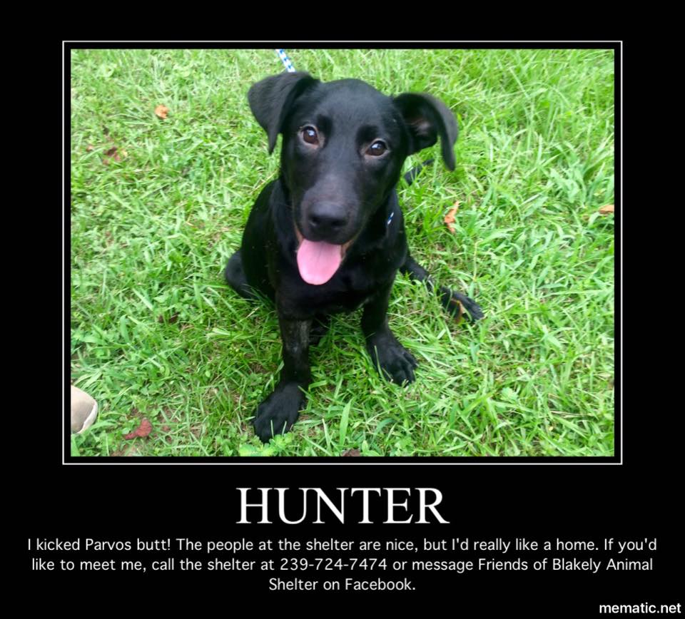 Hunter