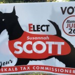 Georgia Politics, Campaigns, and Elections for July 6, 2016