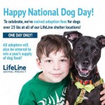 Adoptable (Official) Georgia Dogs for August 26, 2016