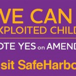 Georgia Politics, Campaigns, and Elections for August 12, 2016