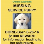 Adoptable (Official) Georgia Dogs for September 13, 2016
