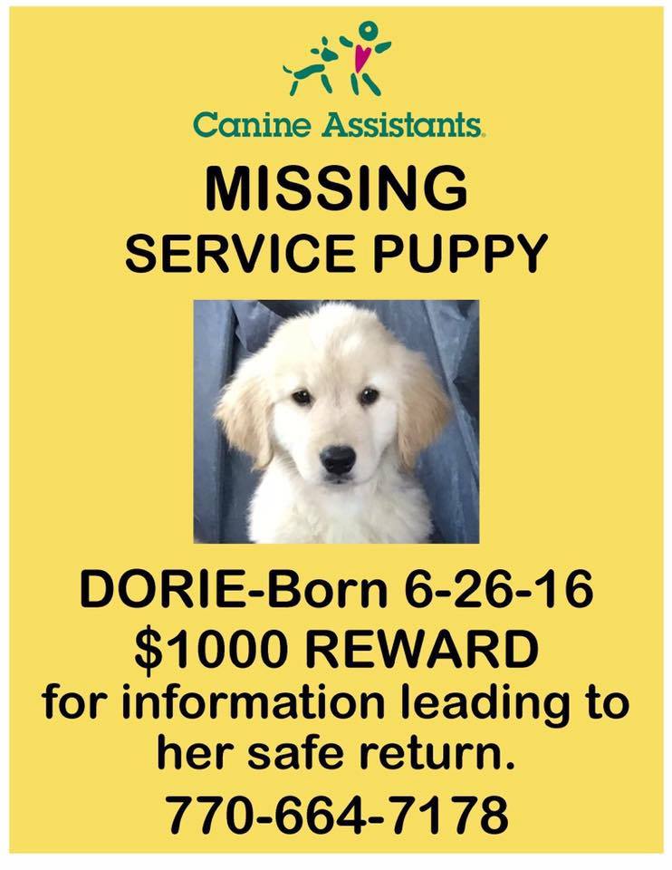 ca_dorie_flyer