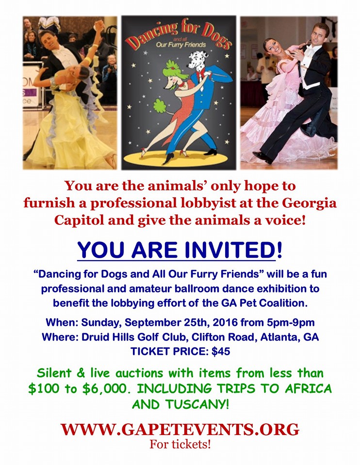 dancing-dogs