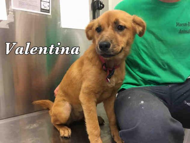 Valentina