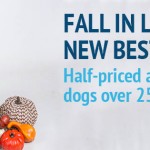 Adoptable (Official) Georgia Dogs for October 5, 2016