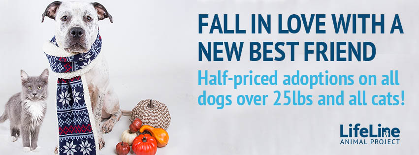 2lifeline-half-price