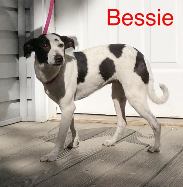bessie