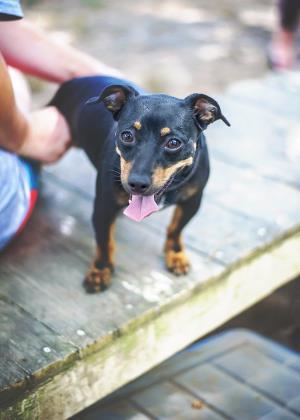 ellie-mae