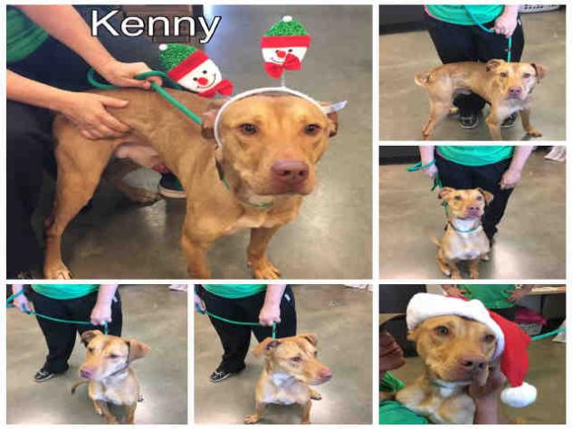 kenny