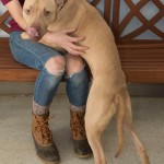 Adoptable (Official) Georgia Dogs for January 31, 2017