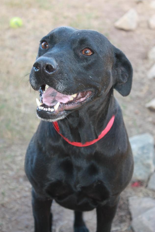 Ruby