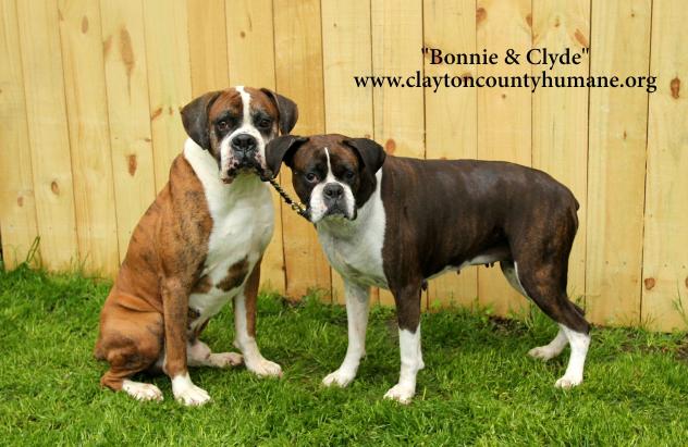 Bonnie Clyde
