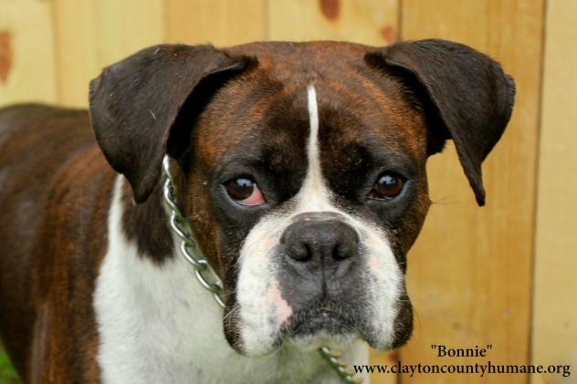 Bonnie
