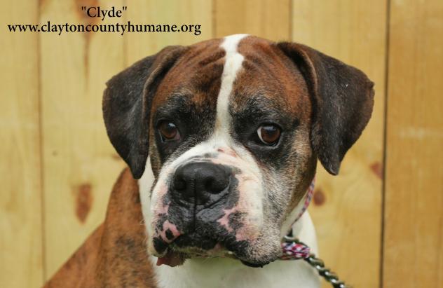 Clyde