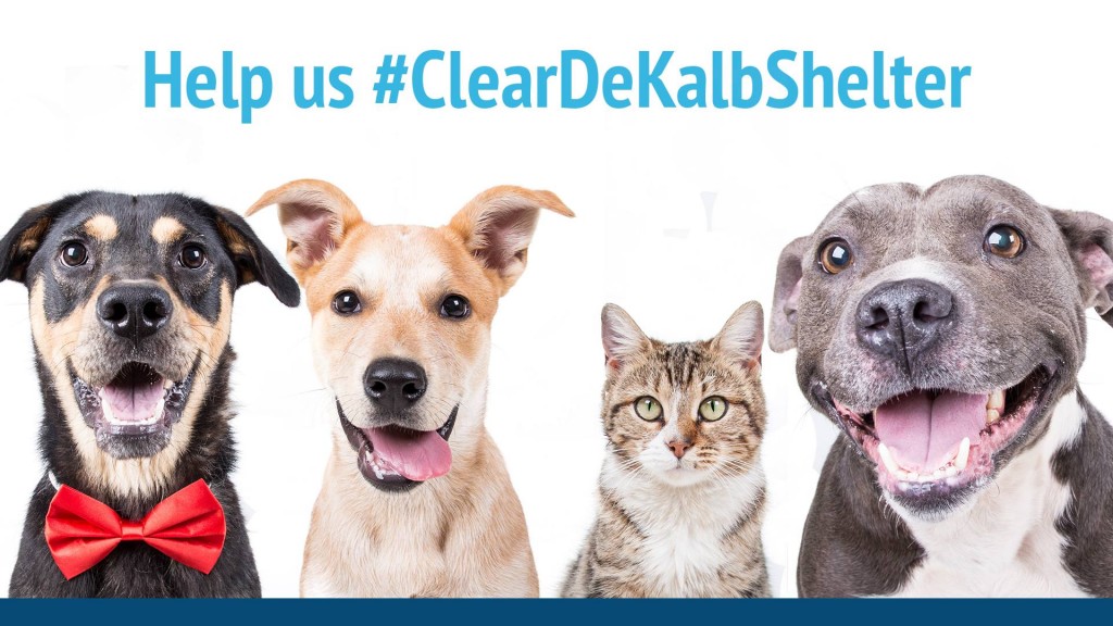 ClearDeKalbShelter