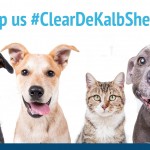 Adoptable (Official) Georgia Dogs for June 8, 2017