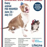 Adoptable (Official) Georgia Dogs for June 28, 2017