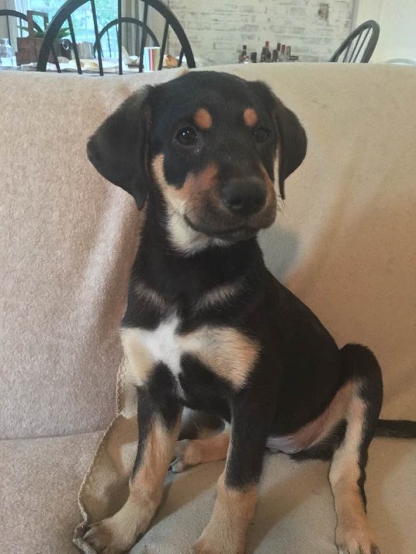 Lola-1