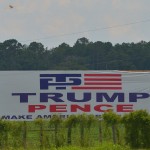 Georgia Politics, Campaigns, and Elections for July 12, 2017