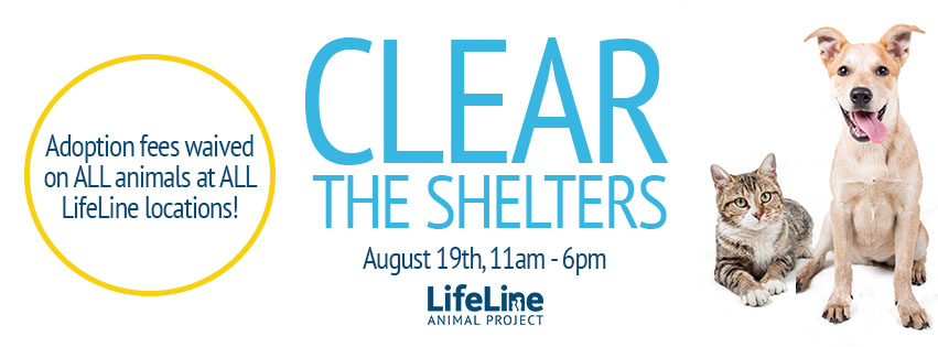 Lifeline Clear Shelters