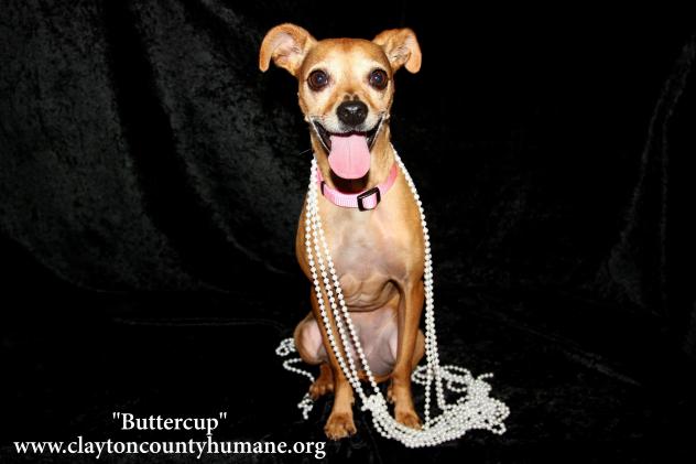 Buttercup