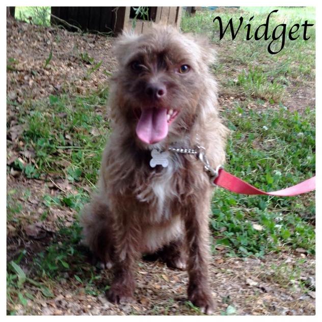 Widget
