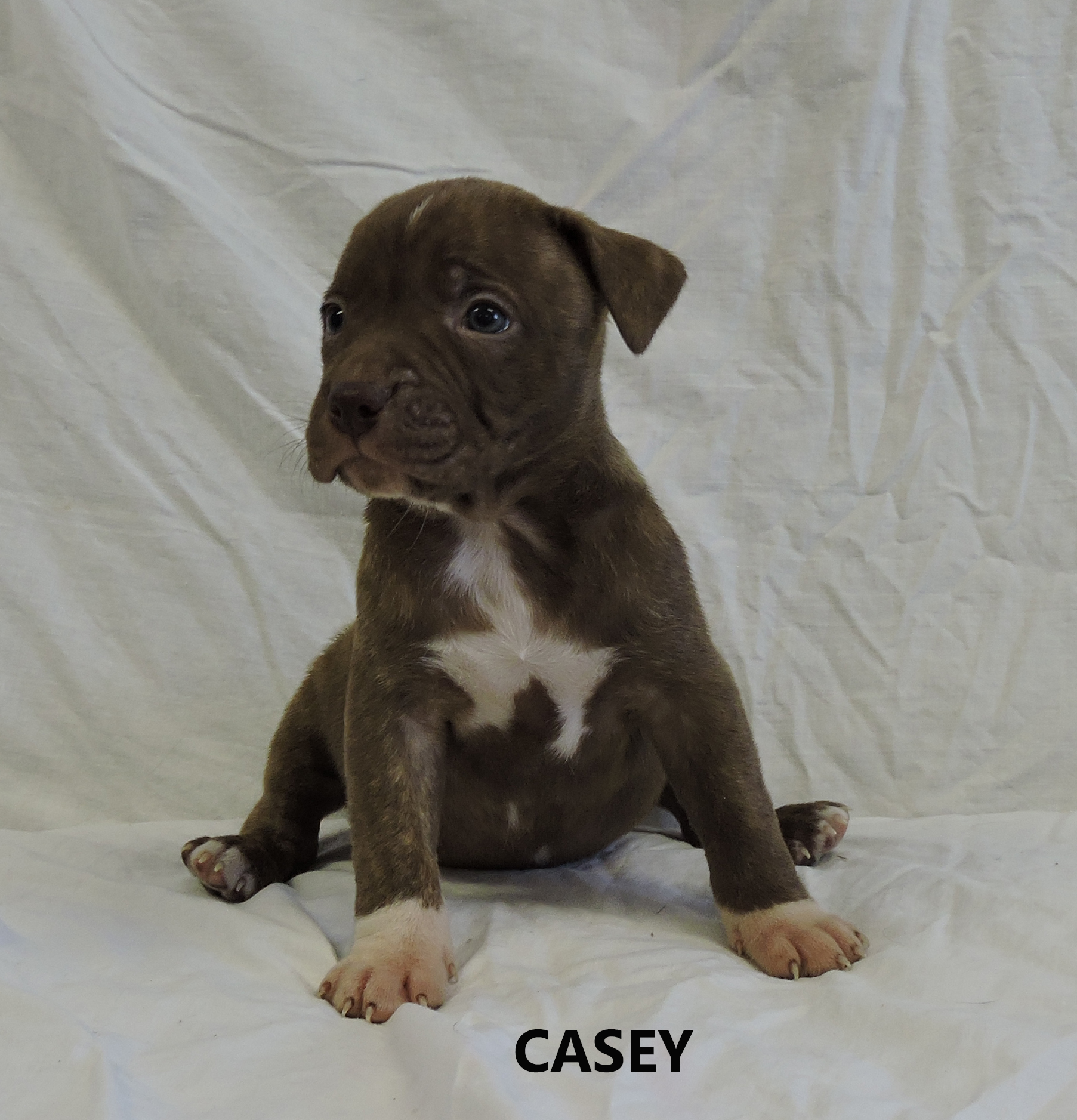 Casey Washington