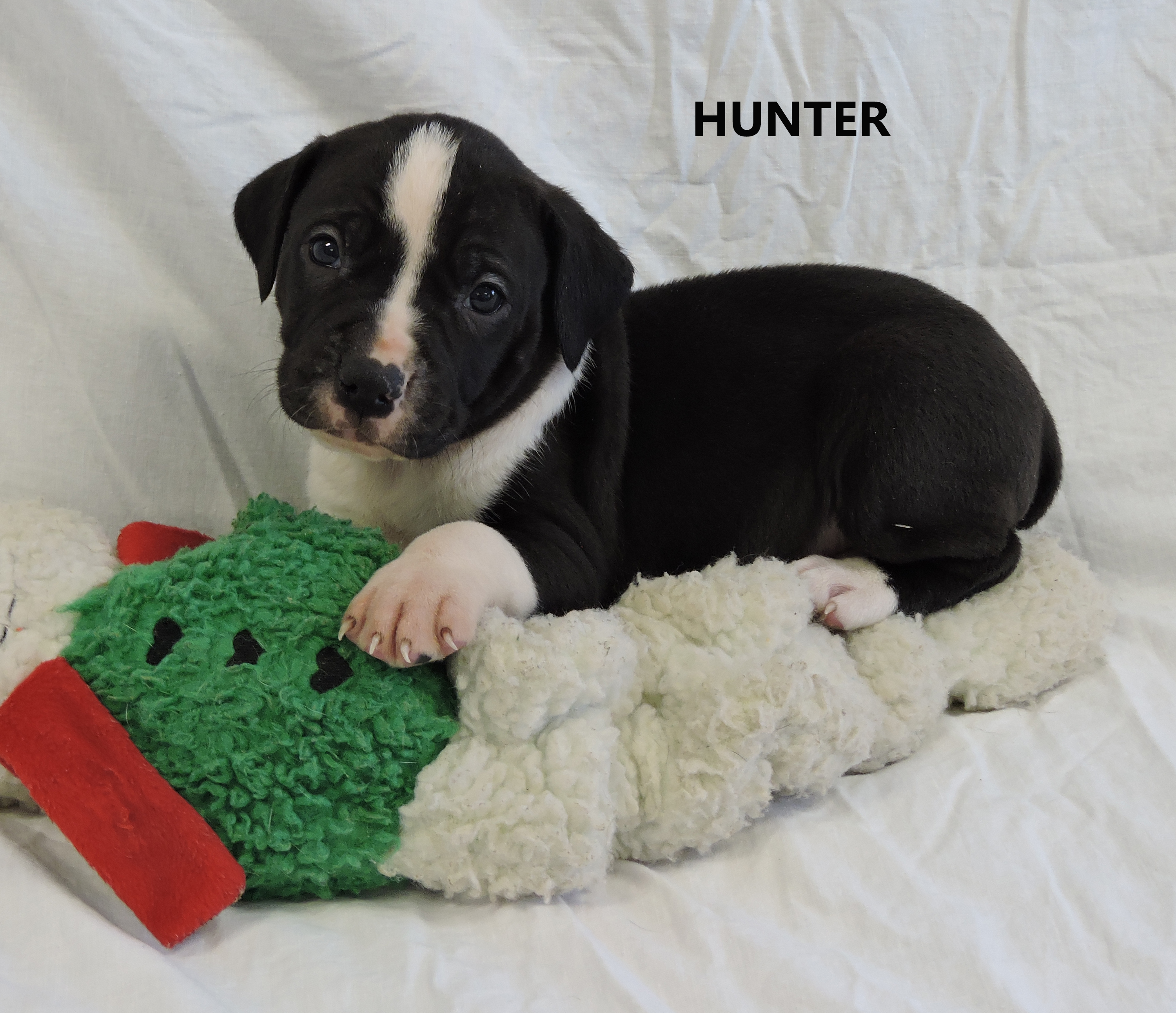 Hunter Washington