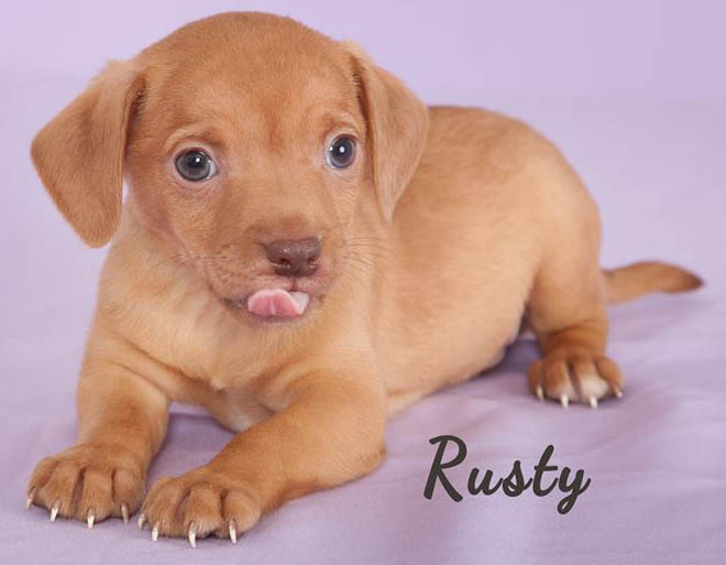 RustyCPR