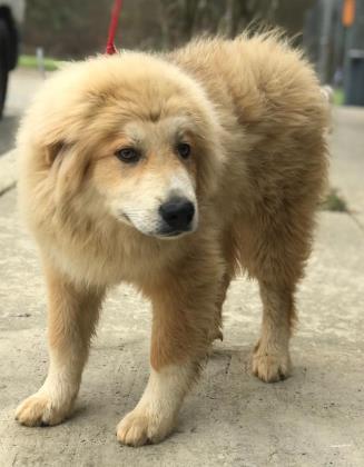 Zeke