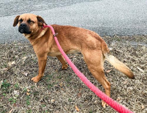 Merlin Blairsville