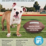 Adoptable (Official) Georgia Dogs for January 8, 2018