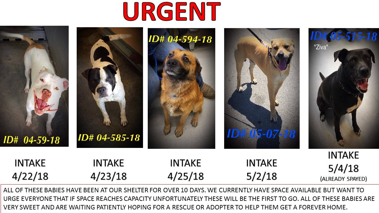 Whitfield Urgent